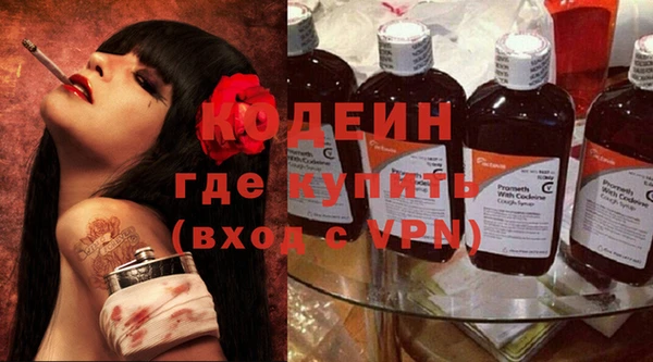 дживик Анива