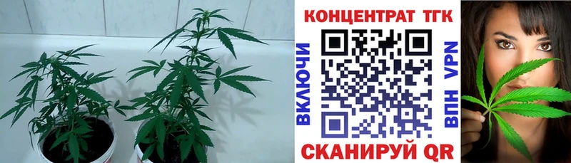 ТГК вейп  где купить наркоту  Зуевка 